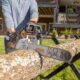 Man using a STIHL chainsaw to cut through a log outdoors, demonstrating professional power and reliability of STIHL equipment sold at RentX in Lindale, Texas